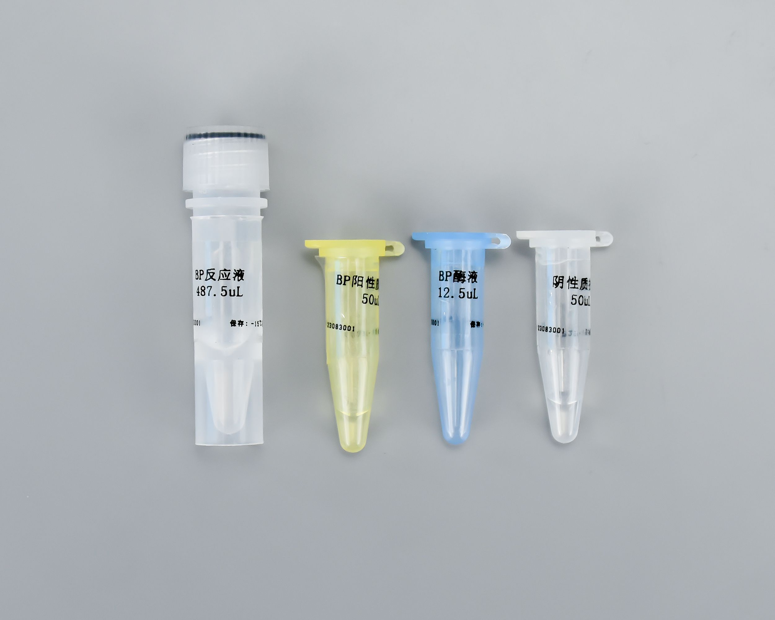 百日咳杆菌核酸检测试剂盒