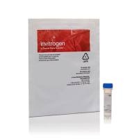 赛默飞Invitrogen A10200 Qdot 625 ITK 羧基量子点