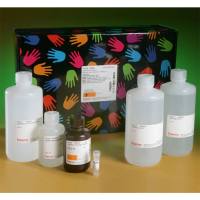 Thermo Scientific89880Chemiluminescent Nucleic Acid Detection Module Kit