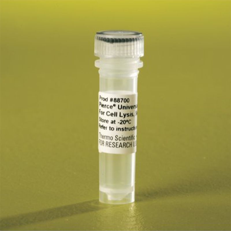 Thermo Scientific88700Pierce Universal Nuclease for Cell Lysis细胞裂解