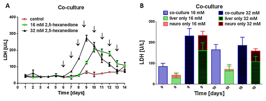 多个类器官串联共培养在药代动力学和药效学研究中的意义