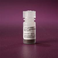 Thermo Scientific88836Pierce Anti-HA Magnetic Beads /抗HA磁珠