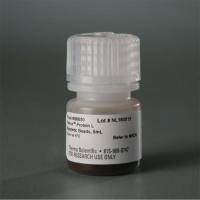 Thermo Scientific88850Pierce Protein L Magnetic Beads 蛋白L磁珠