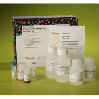Thermo Scientific88828Pierce Direct Magnetic IP/Co-IP Kit 磁性IP/Co-IP试剂盒