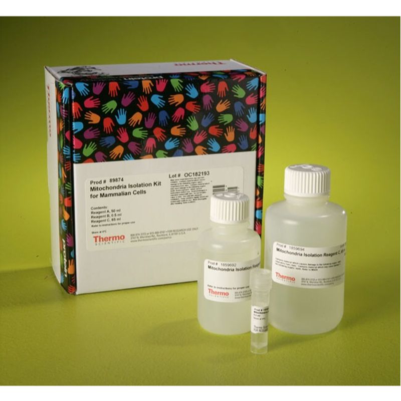 Thermo Scientific89874Mitochondria Isolation Kit for Cultured Cells/培养细胞线粒体分离试剂盒