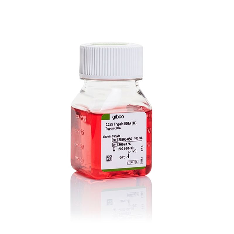 赛默飞Gibco25200056Trypsin-EDTA (0.25%), phenol red/消化酶