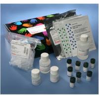 Thermo Scientific89881Pierce Cell Surface Protein Isolation Kit /Pierce细胞膜蛋白分离试剂盒