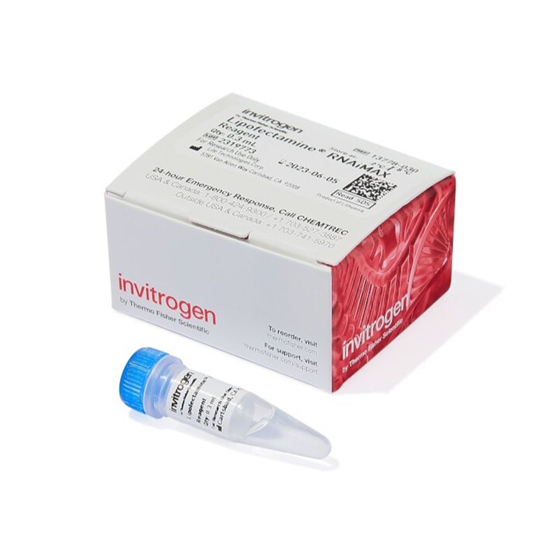 赛默飞Invitrogen13778030 Lipofectamine™ RNAiMAX 转染试剂