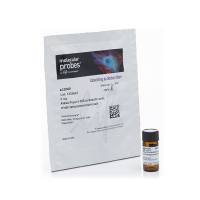 赛默飞InvitrogenA33080Alexa Fluor 555 羧酸、tris-(三乙基铵)盐