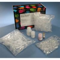 Thermo Scientific89888Pierce™SDS-PAGE 样品制备试剂盒