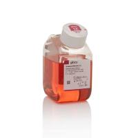 赛默飞Gibco12633012 Advanced RPMI 1640 培养基