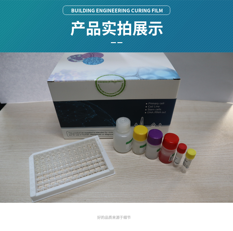 对虾肝胰腺细小病毒（HPV）核酸检测试剂盒（PCR-荧光探针