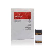 赛默飞InvitrogenA37568 Alexa Fluor 750 NHS 酯（琥珀酰亚胺酯）