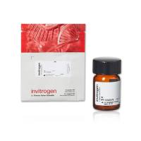 赛默飞InvitrogenM689孔雀石绿异硫qing酸盐