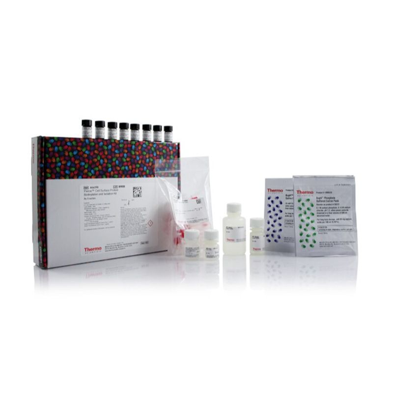 Thermo ScientificA44390Pierce Cell Surface Biotinylation and Isolation Kit/细胞膜蛋白生物素化和分离试剂盒