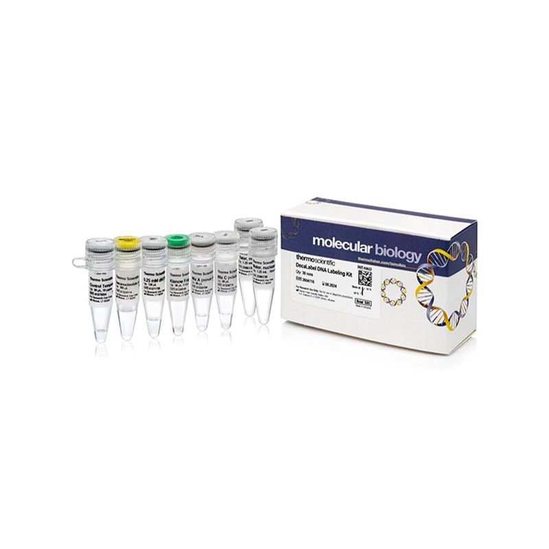Thermo ScientificK0622 DecaLabel DNA Labeling Kit/DECA标签DNA标记试剂盒