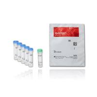 赛默飞InvitrogenF20650FluoReporter Cell-Surface Biotinylation Kit