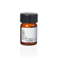 赛默飞InvitrogenO6149 Oregon Green488羧酸琥珀酰亚胺酯,6-异构体