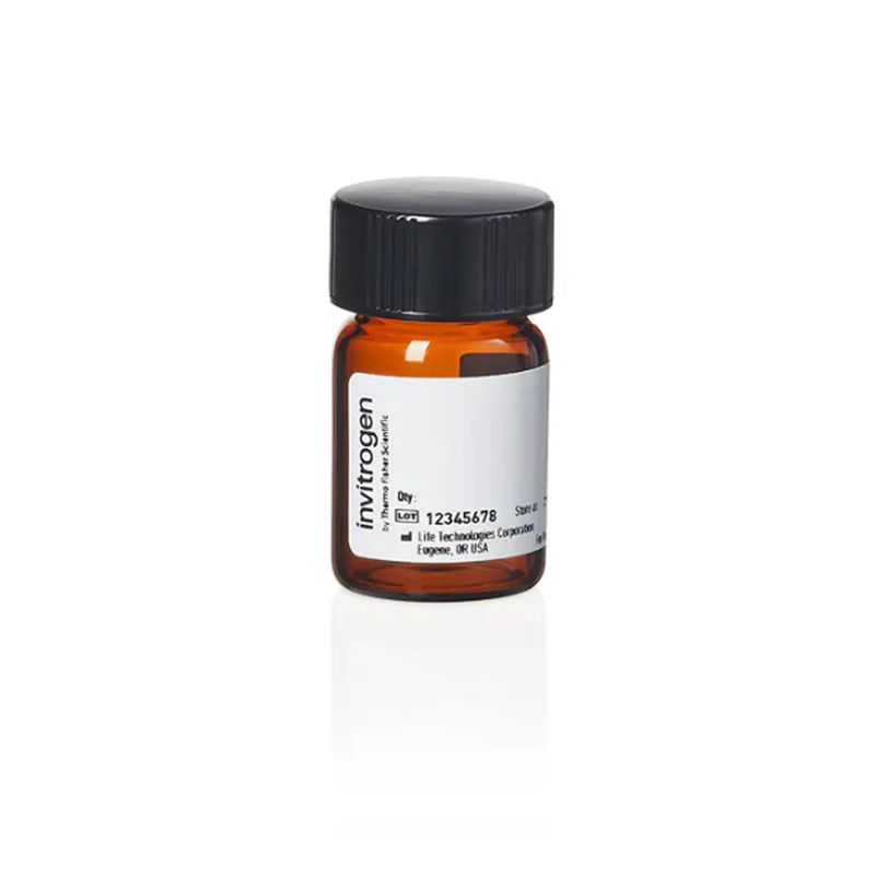 赛默飞InvitrogenQ20131QSY 9 Carboxylic Acid, Succinimidyl Ester/QSY 9羧酸，琥珀酰亚胺酯