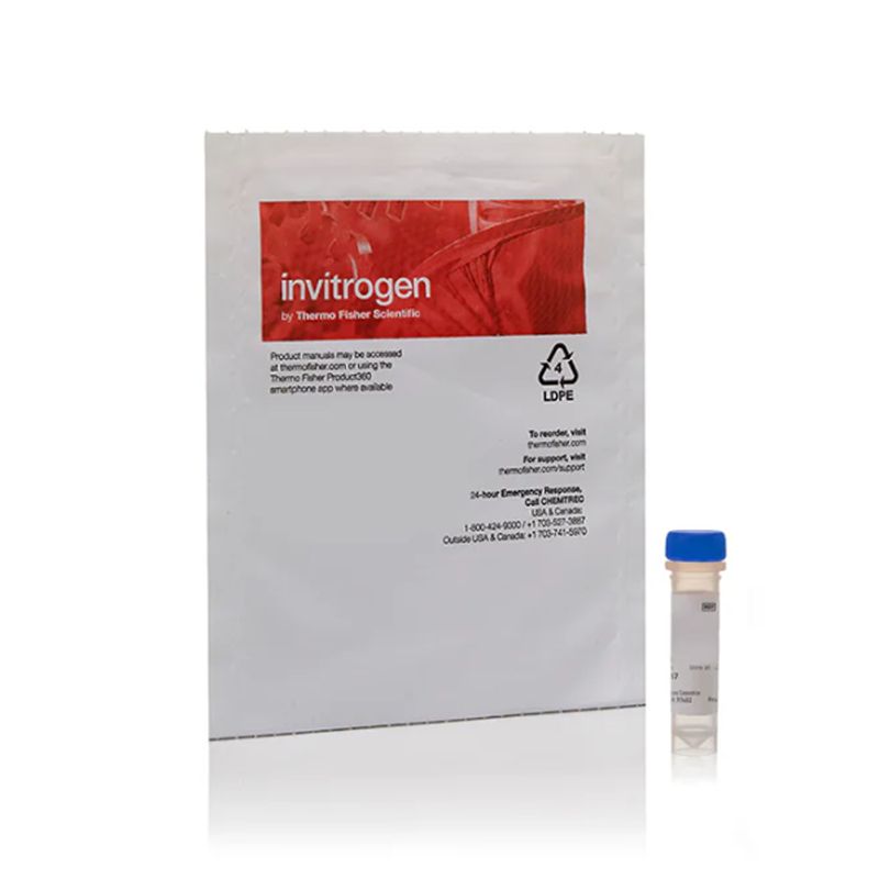 赛默飞InvitrogenP30253Pacific Orange琥珀酰亚胺酯，三乙铵盐