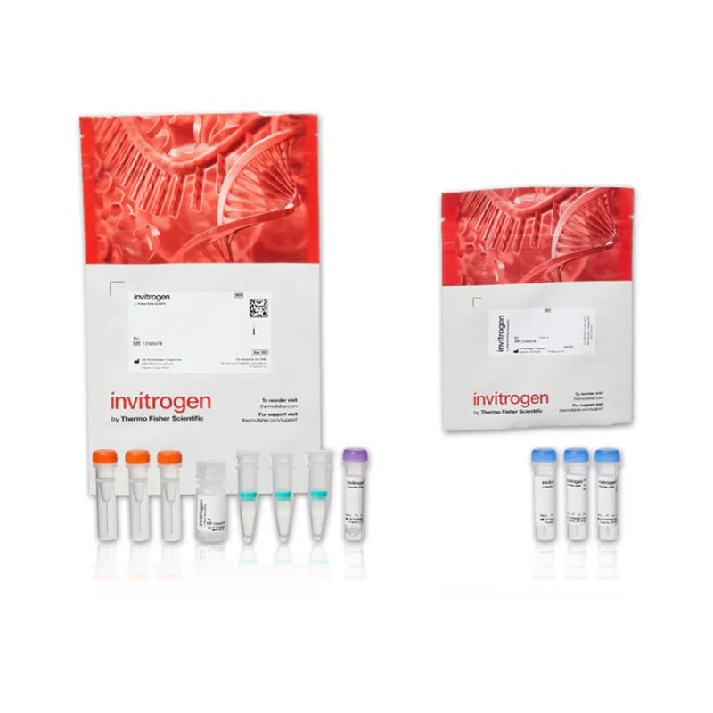 赛默飞InvitrogenB30010生物素-XX 微量蛋白标记试剂盒