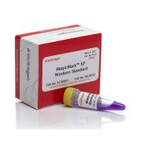 赛默飞InvitrogenLC5602MagicMark™ XP Western Protein Standard