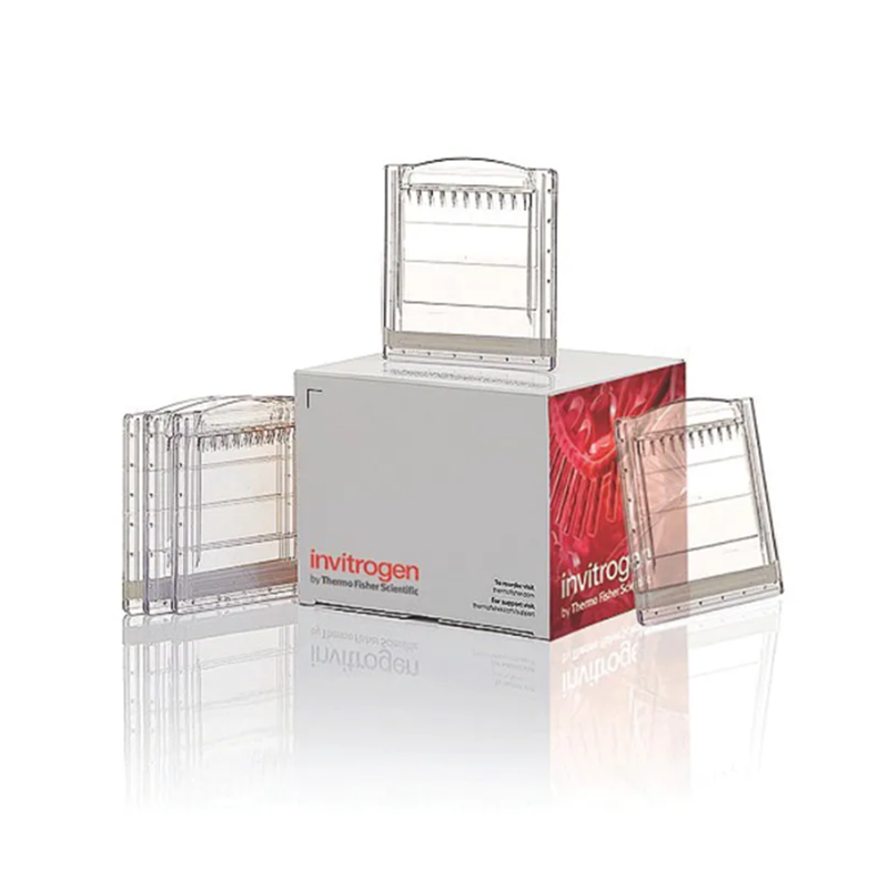 赛默飞Invitrogen EC6675BOX Novex™