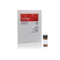 赛默飞InvitrogenE118曙红-5-马来酰亚胺