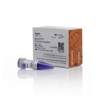 赛默飞Invitrogen LC5677 Mark12™ Unstained Standard