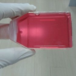 EMT-6小鼠乳腺癌细胞株