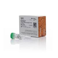赛默飞InvitrogenNP0004NuPAGE™ Sample Reducing Agent (10X)