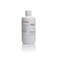 赛默飞Invitrogen LC6060 SimplyBlue™ SafeStain