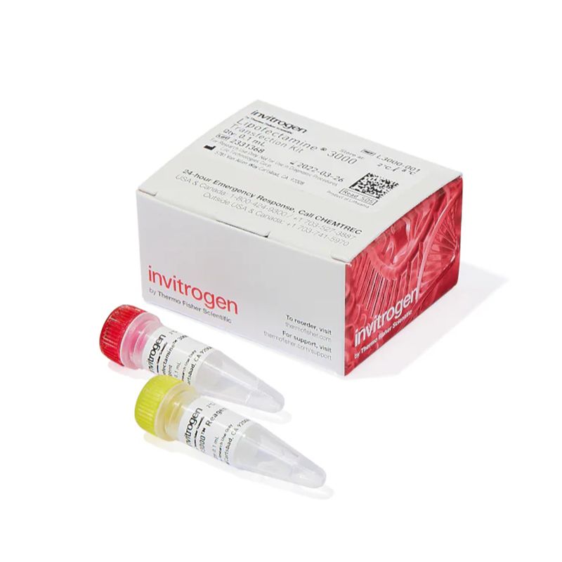 赛默飞Invitrogen L3000001 Lipofectamine™ 3000 转染试剂