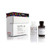 Thermo Scientific A38554 SuperSignal™West Atto Ultimate Sensitivity Substrate/化学发光底物