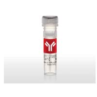 赛默飞InvitrogenF30751 FluoReporter 生物素定量检测试剂盒（用于生物素化蛋白）