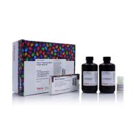 Thermo ScientificA53225Pierce Rapid Gold BCA Protein Assay Kit/快速金BCA蛋白测定试剂盒
