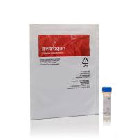 赛默飞InvitrogenC10407Click-IT Alexa Fluor 594 DIBO 炔烃，用于叠氮化物的无铜点击化学检测