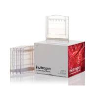 赛默飞Invitrogen EC6625BOX Novex™ 10 to 20%, Tricine, 1.0 mm, Mini Protein Gel, 10-well