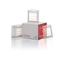 赛默飞InvitrogenEA0375BOX NuPAGE™ 3 to 8%, Tris-Acetate, 1.0 mm, Mini Protein Gel, 10-well