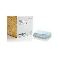 赛默飞Invitrogen PB7220 Power Blotter 预剪切膜和滤纸，硝酸纤维素，小型