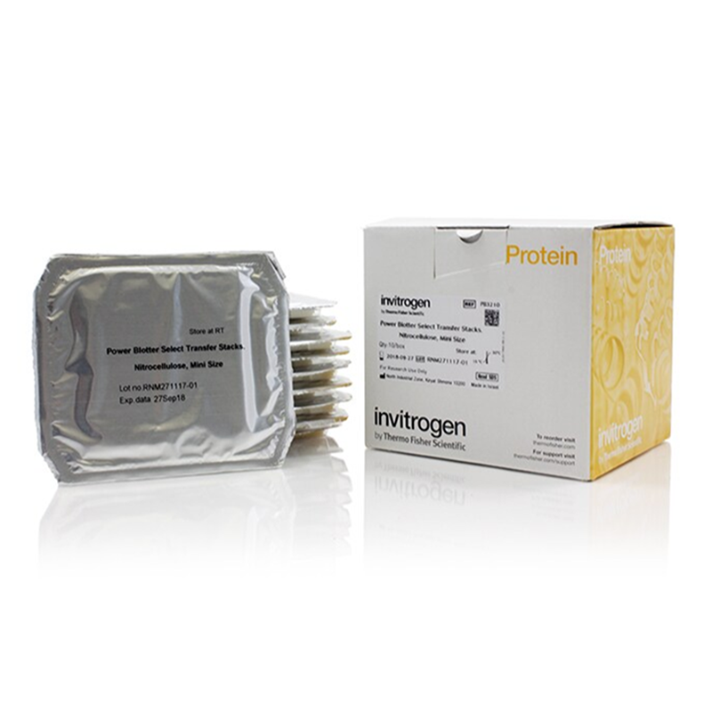 赛默飞InvitrogenPB3210 Power Blot