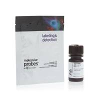 赛默飞InvitrogenP36931ProLong™ Gold Antifade Mountant with DAPI /含DAPI的抗淬灭封片剂