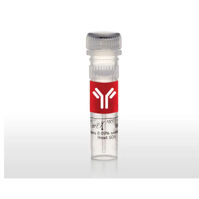 赛默飞Invitrogen F6347 FluoReporter 微型-生物素-XX 蛋白标记试剂盒
