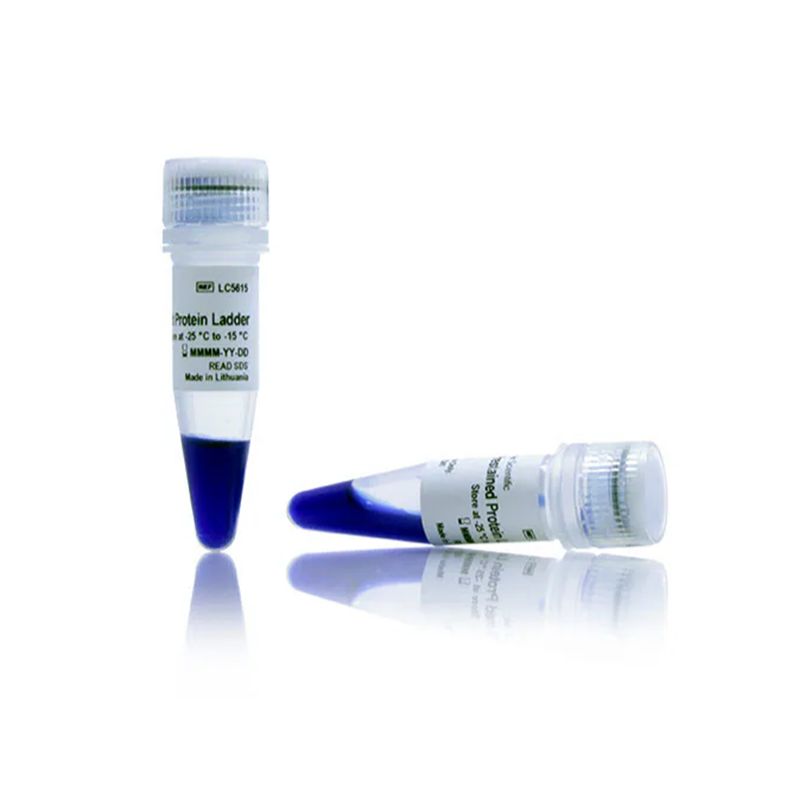 赛默飞InvitrogenLC5615 iBright™ Prestained Protein Ladder