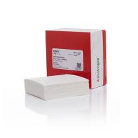 赛默飞Invitrogen LC2002 PVDF/滤纸三明治，0.2 µm，8.3 x 7.3 cm