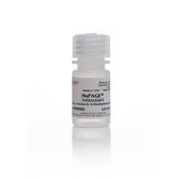 赛默飞InvitrogenNP0005 NuPAGE™ Antioxidant