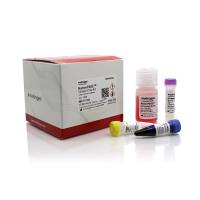 赛默飞Invitrogen BN2008 NativePAGE™ 样品制备试剂盒