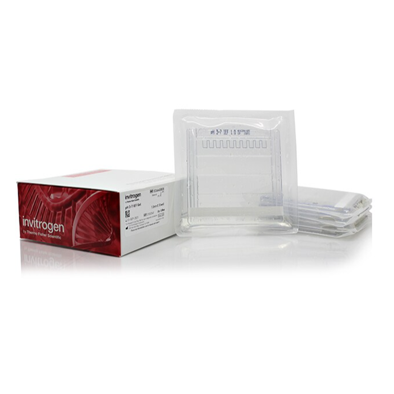 赛默飞Invitrogen EC6645BOX Novex™ pH 3-7 IEF Protein Gels, 1.0 mm, 10-well ...