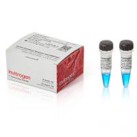 赛默飞Invitrogen LC5801Novex™ Sharp Unstained Protein Standard