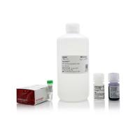 赛默飞InvitrogenNP0060NuPAGE™ MES SDS Buffer Kit (for Bis-Tris Gels)